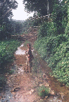 Kid in the jungle